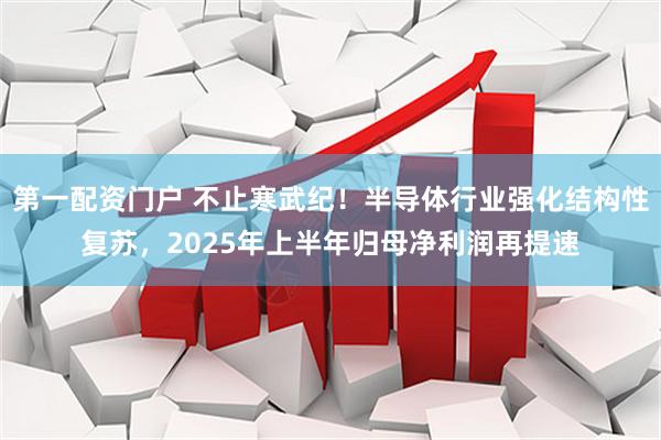 第一配资门户 不止寒武纪！半导体行业强化结构性复苏，2025年上半年归母净利润再提速