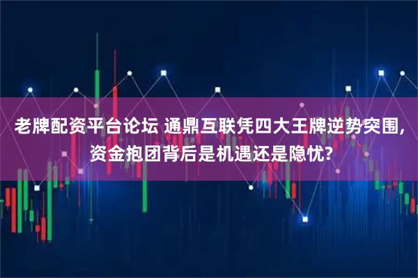 老牌配资平台论坛 通鼎互联凭四大王牌逆势突围, 资金抱团背后是机遇还是隐忧?