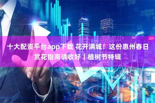 十大配资平台app下载 花开满城！这份惠州春日赏花指南请收好｜植树节特辑