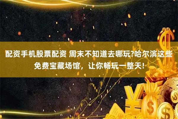 配资手机股票配资 周末不知道去哪玩?哈尔滨这些免费宝藏场馆，让你畅玩一整天!